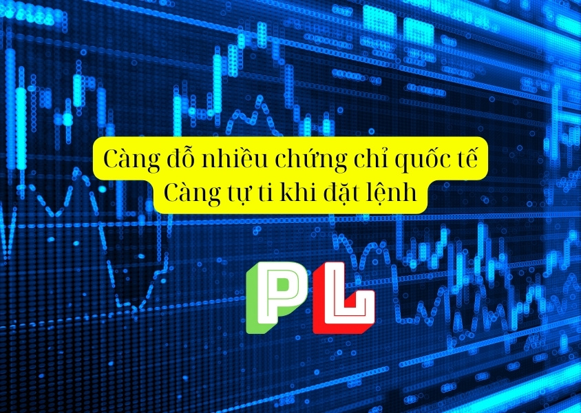 Càng đỗ nhiều chứng chỉ quốc tế Càng tự ti khi đặt lệnh đầu tư